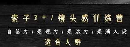 素子表现力训练营,提高自信力+表现力+表达力+表演人设,打造个人魅力ip