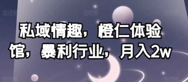 私域情趣，橙仁体验馆，暴利行业，月入2w【揭秘】