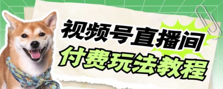 视频号美女付费无人直播，轻松日入500+【详细玩法教程】