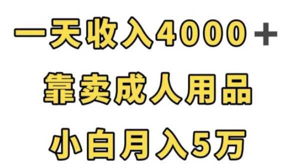 一天收入4000+，靠卖成人用品，小白轻松月入5万【揭秘】