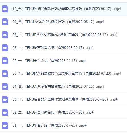 拼多多跨境TEMU爆单运营实操培训班 海外拼多多的选品、运营、爆单