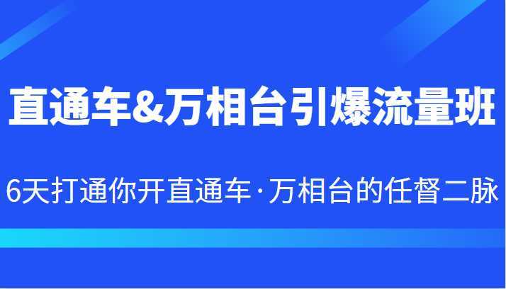 直通车&#038;万相台引爆流量班 6天打通你开直通车·万相台的任督二脉