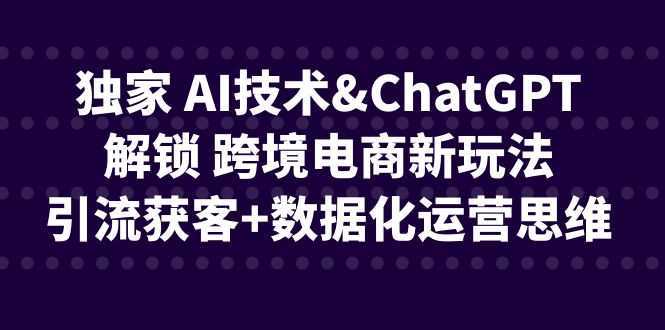 独家 AI技术&#038;ChatGPT解锁 跨境电商新玩法，引流获客+数据化运营思维